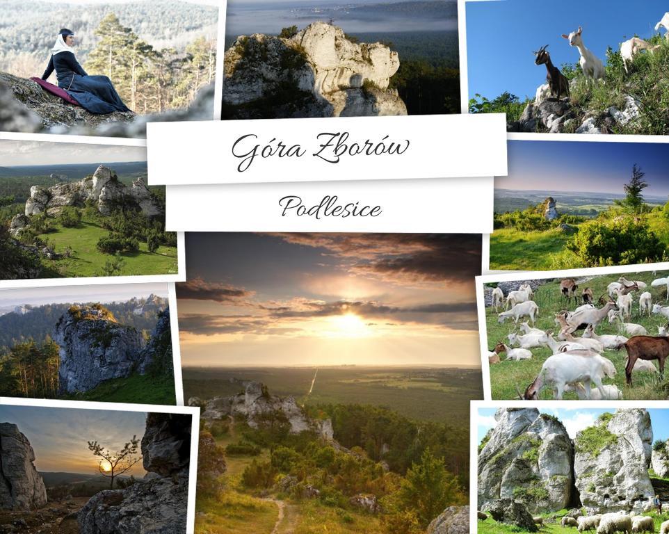 Hotel Fajkier Kroczyce Bagian luar foto